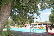 Location sur Saint Maximin la Sainte Baume : Camping Le Provençal ***