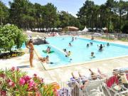 Location sur Biscarrosse : Camping Le Vivier***