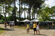 Location sur Biscarrosse : Camping Le Navarrosse