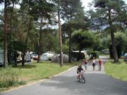 Location sur Guillestre : Camping Chalets Résidentiels Saint James les Pins ***