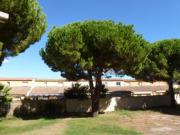 Location sur Port Camargue : Maison de Vacances Port Camargue